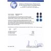 Image 3 : 14KT White Gold 20.64ctw Star Sapphire and Diamond Dangle Earrings