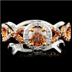 14K Gold 1.10ctw Fancy Color Diamond Earrings