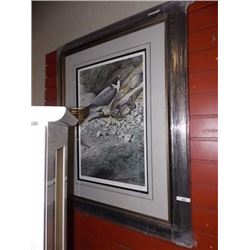 FRAMED LIMITED EDITION - PEREYRINE FALCON - TERRANCE J BOND - GALLERY ESTIMATE $625
