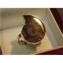 RING - CUSTOM DESIGNED AMMONITE IN STERLING SILVER SETTING - APPROX. 1 X 1" - RETAIL ESTIMATE $175