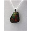 Image 1 : Canadian Free Form Ammolite Necklace Set