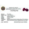 Image 2 : 9.84ctw Oval Mixed Ruby Parcel