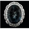 Image 1 : 14KT White Gold 19.87 ctw Topaz and Diamond Ring
