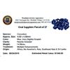 Image 2 : 14.98 ctw Oval Mixed Blue Sapphire Parcel
