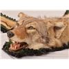 Image 2 : Coyote Rug