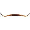 Image 1 : Texas Longhorn Horn Mount