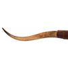 Image 3 : Texas Longhorn Horn Mount