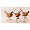 Image 2 : 3 Pheasants Taxidermy Mounts