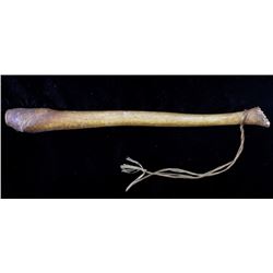 Eskimo Inuit Oosik Baculum Seal Club EARLY