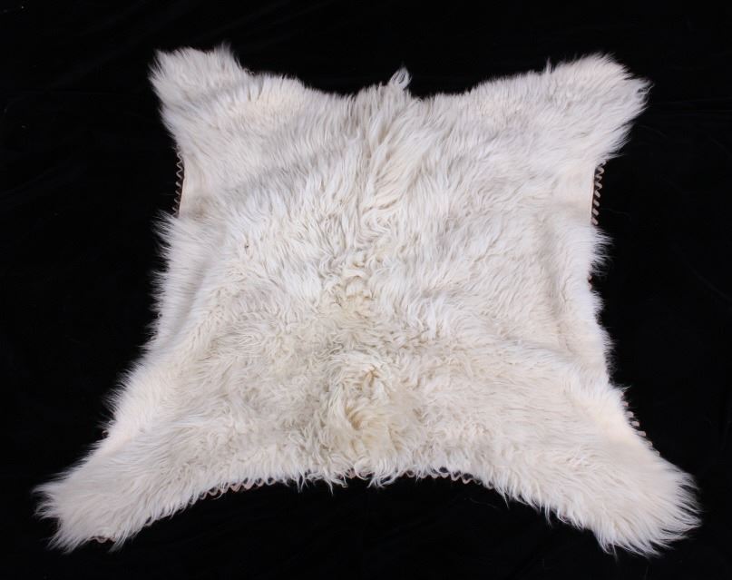 Mount Goat Rug Montana Mountain Goat Taxidermy Rug Mount