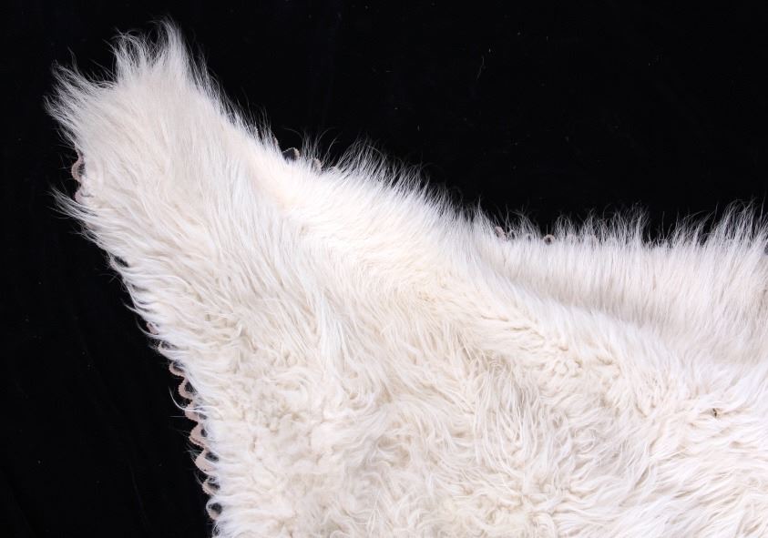Montana Mountain Goat Taxidermy Rug Mount