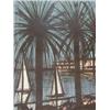 Image 1 : ATTRIBUTED TO DUBUFFET, JEAN, a colour screen print, 'Nice', (unsinged), Redfern Gallery, Cork St...