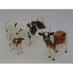 AN AYRSHIRE BULL, ch.'Whitehill Mandate' No.1454B gloss, a cow ch.1350 gloss and a calf No.1249B...