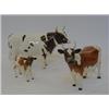 Image 1 : AN AYRSHIRE BULL, ch.'Whitehill Mandate' No.1454B gloss, a cow ch.1350 gloss and a calf No.1249B...