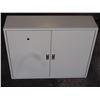 Image 1 : 2 Door Electrical Cabinet