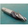 Image 2 : Firestorm End Mill Model FIRE-7501-079