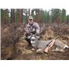 Image 2 : Oregon State Access &Habitat Board Statewide Combo Deer & Elk Tag