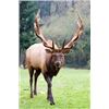 Image 4 : Oregon State Access &Habitat Board Statewide Combo Deer & Elk Tag