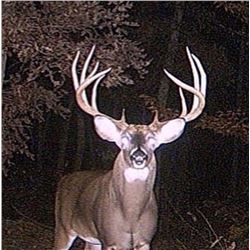 Washington State Governor's Whitetail Deer Tag