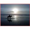 Image 1 : "Rib Eye Ride"  Sunset dining and the beach on horseback!