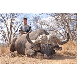 Trophy Cape Buffalo Hunt