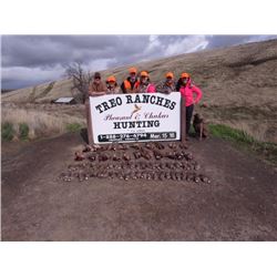 TREO Ranches Upland Bird Hunt