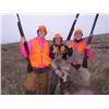 Image 3 : TREO Ranches Upland Bird Hunt