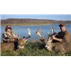 Image 3 : Ohio Whitetail Deer Hunt for 2 Hunters