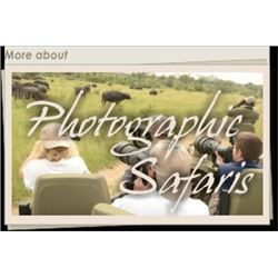 South African Photo Safari