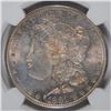 Image 2 : 1881-S MORGAN SILVER DOLLAR, NGC MS-66