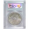 Image 4 : 2006-W ( BURNISHED ) AMERICAN SILVER EAGLE, PCGS MS-69