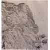 Image 1 : Gordon Cook (1927-1985) American, HEADLAND II, 1962, etching, signed in pencil, artist's proof,...