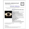 Image 4 : Rolex YG Day-Date Diamond Men's Watch