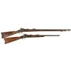 Image 1 : Two U.S. Springfield Trapdoor Long Guns -A) Springfield Model 1879 Rifle with Detroit Board of Comme