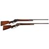 Image 1 : Two Winchester Lever Action Shotguns -A) Winchester Model 1901 10 Gauge Shotgun