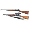 Image 2 : Two Sporting Lever Action Rifles -A) Winchester Model 1886 Extra Light Rifle