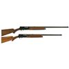 Image 1 : Two Belgian Browning Auto 5 Semi-Automatic Shotguns -A) Browning Auto 5 Light Twelve Shotgun