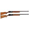 Image 1 : Two Belgian Browning Light 12 Semi-Automatic Shotguns - A) Browning Light 12 Shotgun