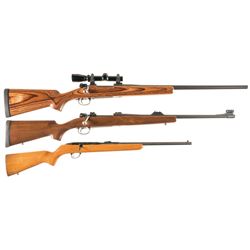 rifles scope brno vz24 bolt rifle arms action three model