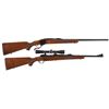 Image 1 : Two Ruger Sporting Rifles -A) Ruger No. 1 Standard Single Shot Falling Block Rifle
