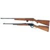 Image 2 : Two Marlin Sporting Longarms with Boxes -A) Marlin Model 25MG .22 Caliber Bolt Action Shotgun