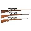 Image 1 : Three Scoped Sporting Bolt Action Rifles -A) Winchester Model 70 HV Rifle