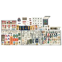 Grouping of American and Foreign Military Pins and Medals