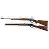 Image 2 : Two Winchester Lever Action Long Guns -A) Winchester Model 64 Rifle