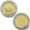 Image 1 : 1987 Canada $5 1/10oz Gold Maple Leaf Coin (Tax Exempt)