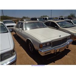 1983 - CHEVROLET CAPRICE