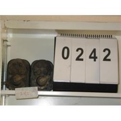COLLECTIBLE TEAGLE MAGNETOS (2)