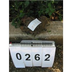 COLLECTIBLE ZENITH CARBURETOR
