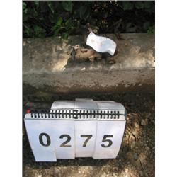 COLLECTIBLE ZENITH CARBURETOR