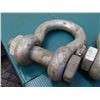 Image 2 : 12 Ton Shackles